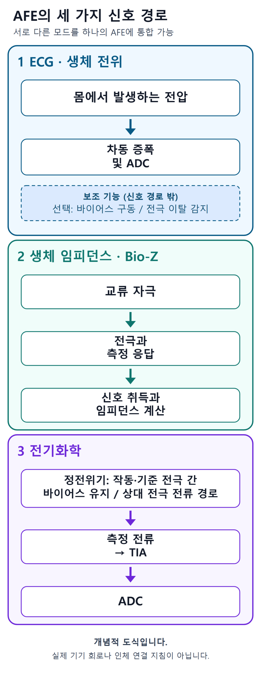 세 가지 AFE 개념 경로. ECG: 몸에서 발생하는 전압을 차동 증폭한 뒤 ADC로 전달. 선택적인 바이어스 구동과 전극 이탈 감지는 신호 경로 밖의 보조 기능. 생체 임피던스: 교류 자극, 전극과 측정 응답, 신호 취득과 임피던스 계산. 전기화학: 정전위기가 작동·기준 전극 사이 바이어스를 유지하고 상대 전극 경로로 전류가 흐름. 측정 전류를 TIA와 ADC로 전달.