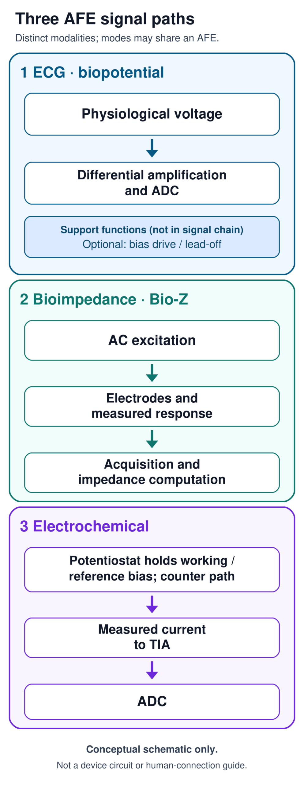Three stacked conceptual AFE paths. ECG: physiological voltage to differential amplification and ADC, with optional bias-drive and lead-off support functions outside the signal chain. Bioimpedance: AC excitation to electrodes and measured response to acquisition and impedance computation. Electrochemical: potentiostat holds working-to-reference bias with a counter-electrode current path; measured current goes to a TIA and ADC.